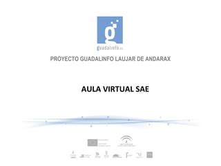 Aula Virtual SAE .